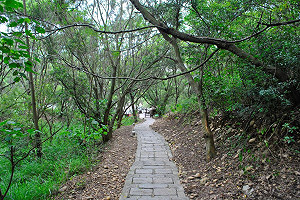 完善大肚萬里長城基礎設施 林佳龍擠出80個停車位