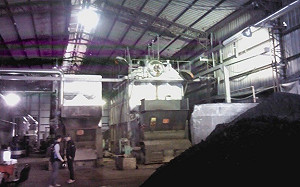 最高罰300萬！黑心業者用生煤作燃料 釀黑煙、惡臭毀環境