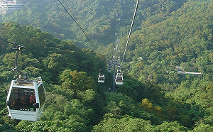 貓空纜車5/14起停駛兩週！5條公車路線調整異動