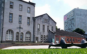 落實減塑生活　周末一同DIY洗髮水、保鮮布！