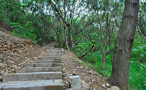 快訊》航特部上校獨攀谷關七雄 失聯波津加山協尋中