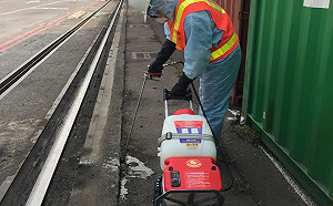 貨櫃有紅火蟻入侵 防檢局：啟動緊急撲滅！