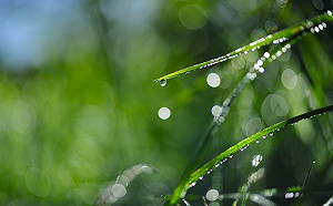 氣溫溜滑梯差10度！留意大雨 雷擊 強陣風