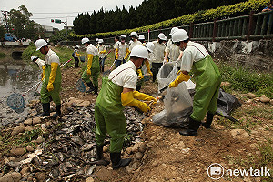 敬鵬災後溪河污染   清理魚屍近30噸