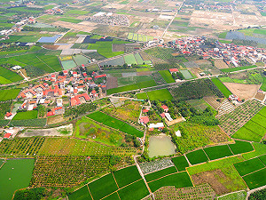 別讓錢飛走了! 逾15年未領之徵收補償費將歸國庫