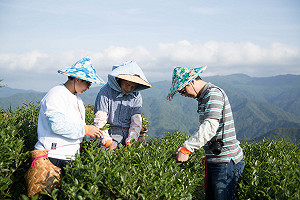 新北「來去農家DO一日」提供農村特色體驗
