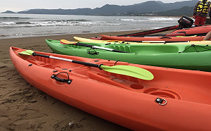 水上活動全新體驗！來金山划獨木舟涼快一夏(影)