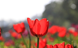 各地高溫30度起跳！紫外線強注意防曬