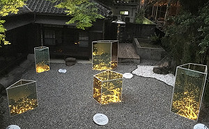 初夏的夜晚有詩意！5/18到齊東詩舍看螢光閃爍