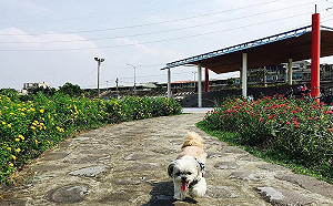 周五起北部回溫至下周　彭啟明：把握好天氣！ 