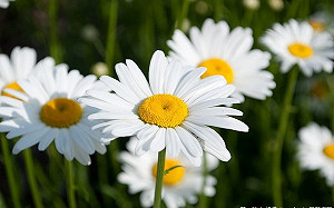 鋒面掰掰！各地悶熱高溫上看32度