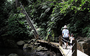 前進6大健行親山步道！帶媽咪一同去森呼吸