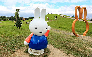 米飛迷再追一波！八里米飛公園展期二度延長