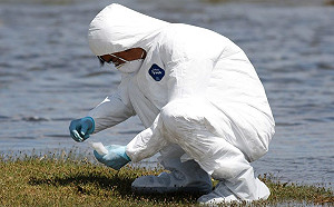 力挺台灣參與WHA！AIT臉書發文聲援