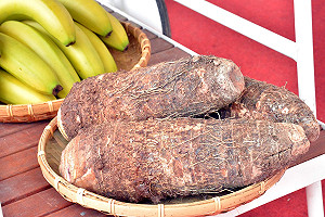 屏東不只洋蔥可口！消暑聖品鳳梨、芋頭正當季