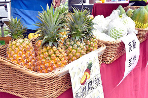 讀者投書》農委會：鳳梨外銷成績佳vs.農民宣稱價格崩盤