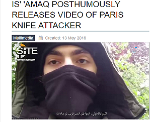 巴黎恐攻IS搞宣傳  稱刀手宣誓效忠巴格達迪