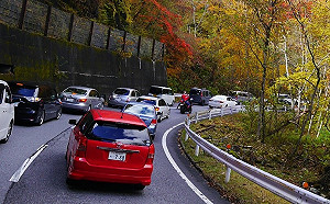 別忘了！夏季營業車汽車燃料使用費 6月開徵