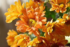 高溫悶熱紫外線猛飆！全台留意午後雷陣雨