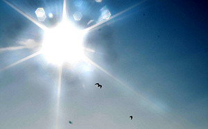 紫外線均過量級以上！北部注意空品亮橘燈