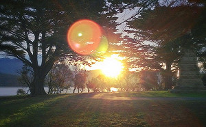 補充水分保持涼爽！夏日預防熱傷害hen重要