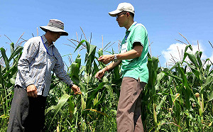 深入花東 慈心基金會致力為有機農業加值