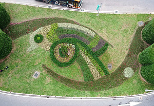 仁愛圓環有故事！詩意菱角鳥成文青取景地