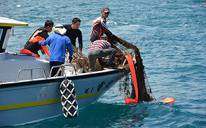 澎湖海底覆網清除成果顯著  今年目標預計5萬公尺