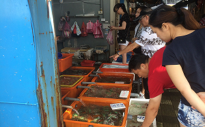 這些地方你熟嗎？全台11大漁港海鮮地圖通通告訴你