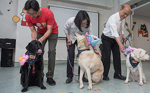 「法官曾嗆若影響秩序、導盲犬就會被轟出去」 監委籲：先開罰公部門