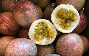 百香果放寬可噴5種農藥？防檢局：絕非事實