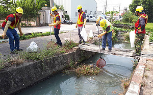 灌溉溝渠汙染驚見死魚百條  環保局：抓到一定重罰