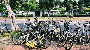 出大招！杜絕oBike違停亂象APP也能進行舉報