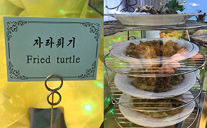 核試場爆拆秀  北韓款待國際記者團竟有這道菜