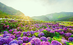 涼風掰掰！全台回歸高溫炎熱 山區留意午後陣雨