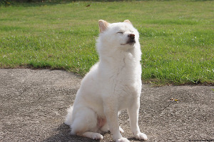 超級熱小心防曬！北部高溫上看37度