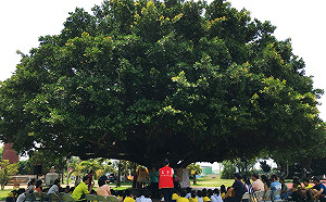 正聲雙琴林童樂會 帶偏鄉童走入古典樂世界