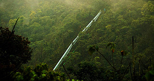 無對白式拍攝 《印樣白冷圳》政大中文影展首映