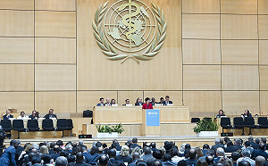 100萬美元擬捐WHO 吳釗燮：在了解捐款方式