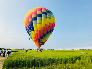 宜蘭新玩法！搭熱氣球看超美稻浪