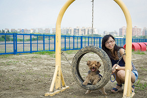 毛小孩中暑受傷 飼主最高可被罰7萬5