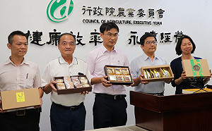 天氣炎熱影響銷售  農委會出手救香蕉