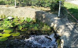 台中市首例  休閒公園引綠川水活化再造