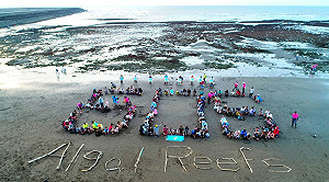 觀塘案環差顢頇過關  環團籲總統召開聽證會
