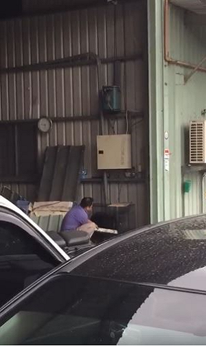 愛狗如子，以棍棒管教！樹林男子將挨罰