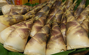 網傳竹筍有劇毒農藥  食藥署發文闢謠：假的