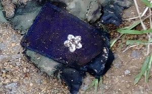 F-16戰機失聯 基市消防人員尋獲飛行員肩章