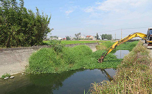 久旱布袋蓮增生阻礙排水 颱風前河川局加強清理