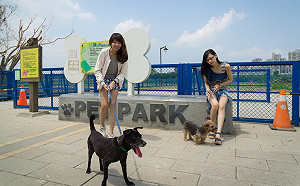 你家也有長壽狗嗎？動保處邀新北市民攜毛孩拿獎金