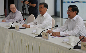 汪洋：兩岸一家人  軟的更軟對同胞  硬的更硬對台獨